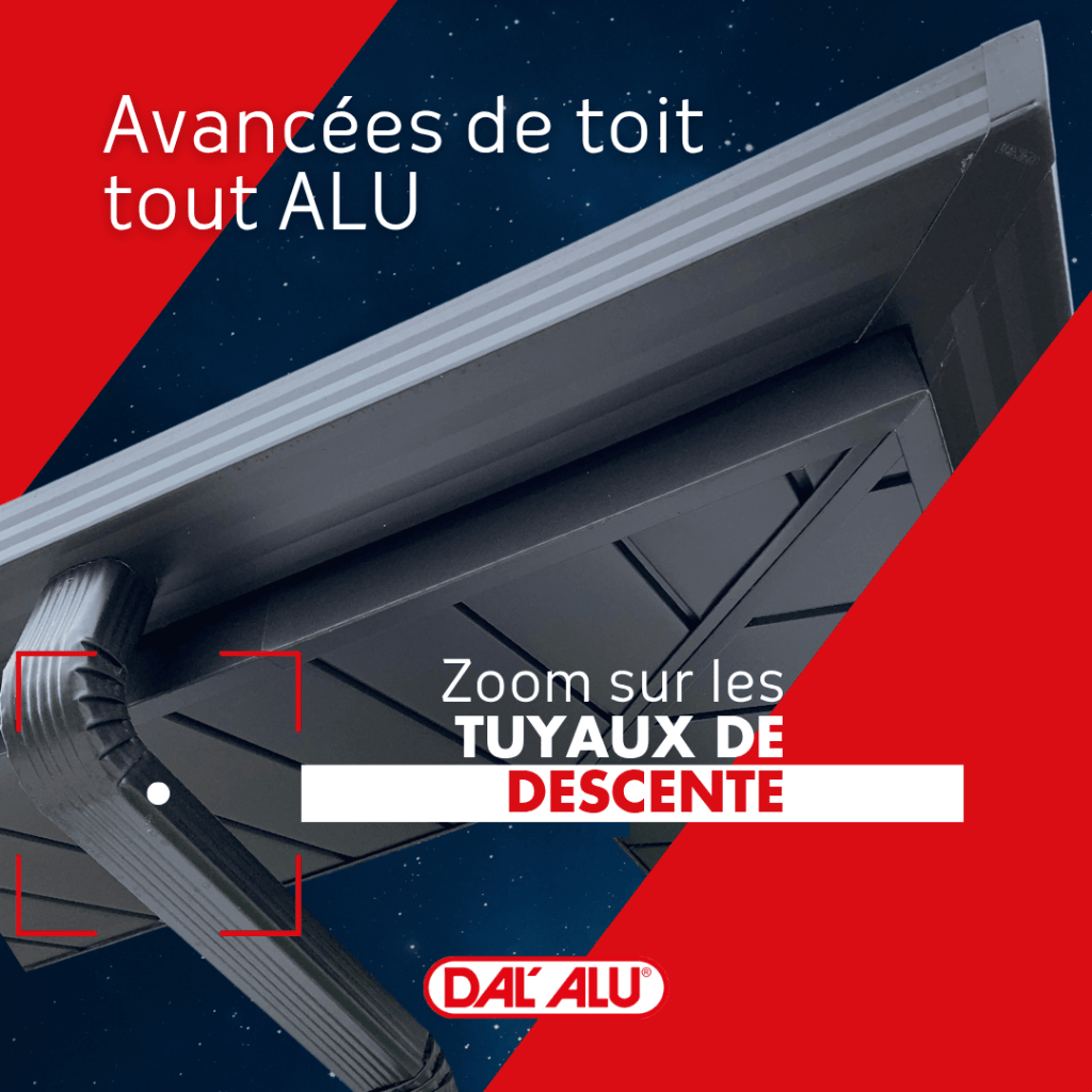 Vue rapprochée de la descente